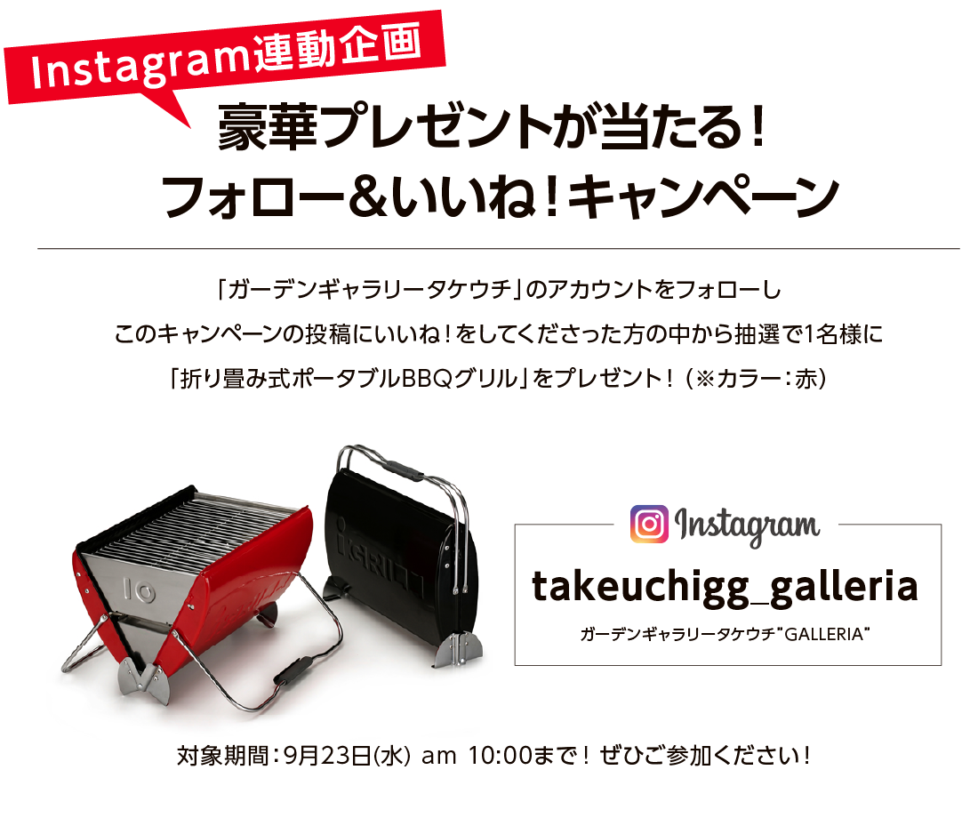 Instagram連動企画
