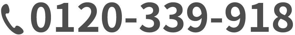 0120-339-918
