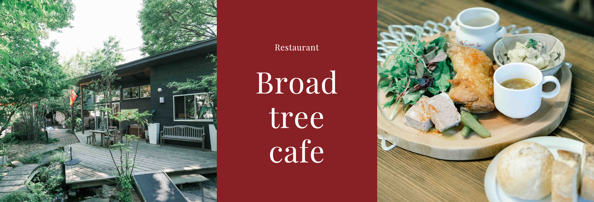 Restaurant Broad tree cafe