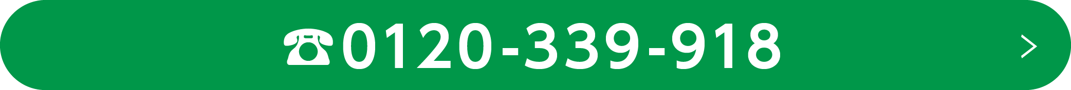 0120-339-918