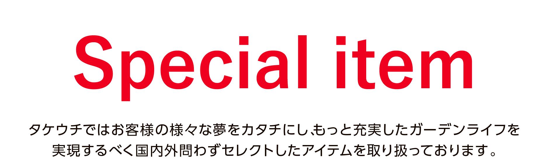 Special item